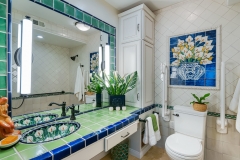 Accessible Bathroom with Pop of Color (1)