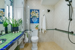 Accessible Bathroom with Pop of Color (4)