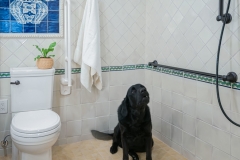 Accessible Bathroom with Pop of Color (8)