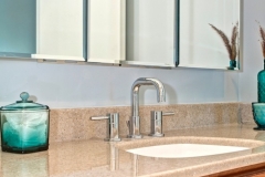 Downtown Condo Master Bath Remodel ADA (7)