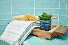MilkyWay-SDBaths-0322-64-1