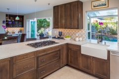 ricciardi - kitchen 2