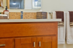 San Diego Guest Bathroom (2)