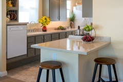 Whole Home Accessible Project Remodel (4)