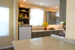 Whole Home Accessible Project Remodel (5)