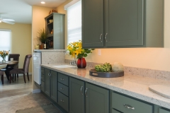 Whole Home Accessible Project Remodel (7)