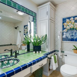 Accessible Bathroom with Pop of Color (6)
