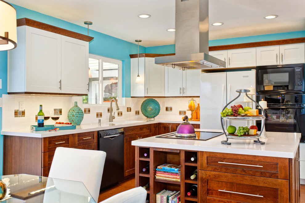 Lively Contemporary Kitchen