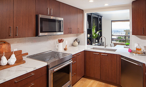 Downtown Contemporary Kitchen