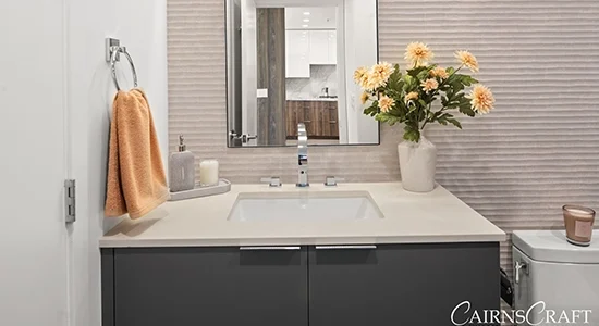 Beautiful Modern Guest Bath